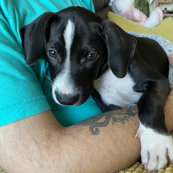 😝   I 💜 Shares & Offers  😝 - Picture 11 of 11